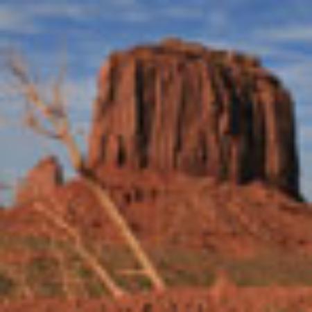 Chau Ann's Restaurant